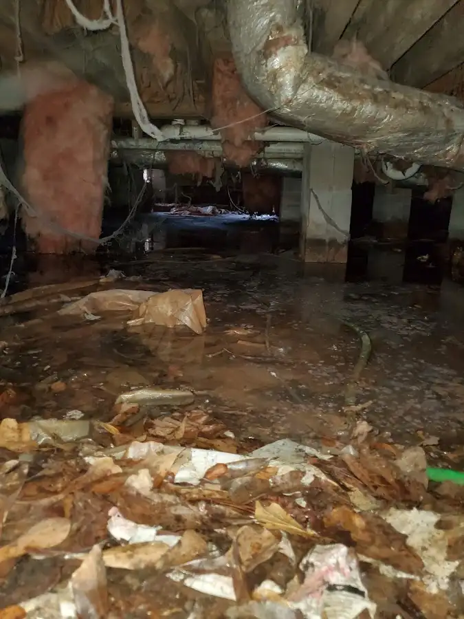 Crawl space flood assessment for Commercial Water Damage Restoration in Winslow